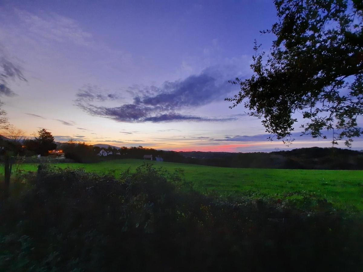 PARABISU TTIKIA Petit Paradis Ascain Exterior foto